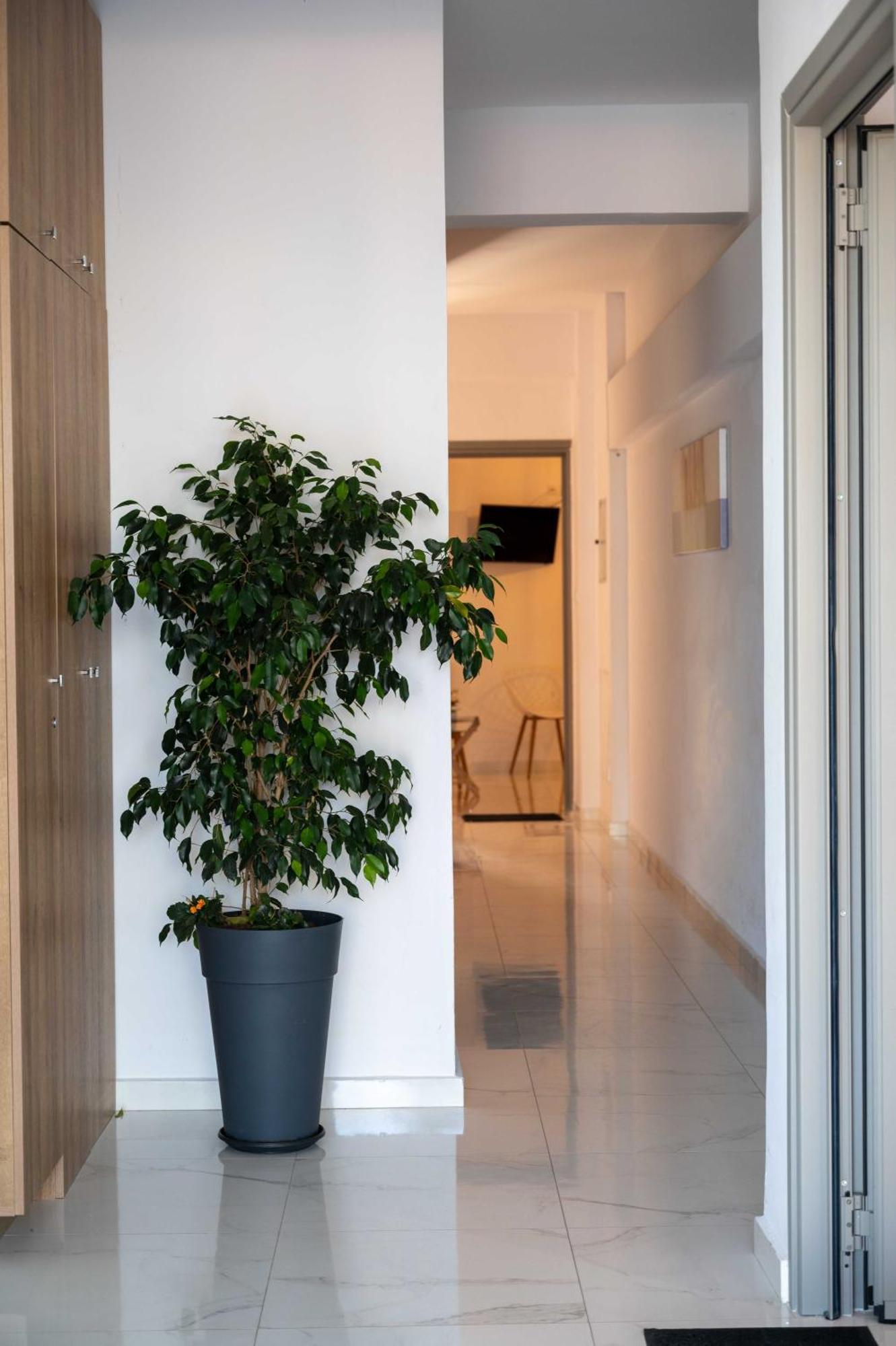 ארטמידה Finikas Suites & Apartments 10Min From Athens Airport מראה חיצוני תמונה